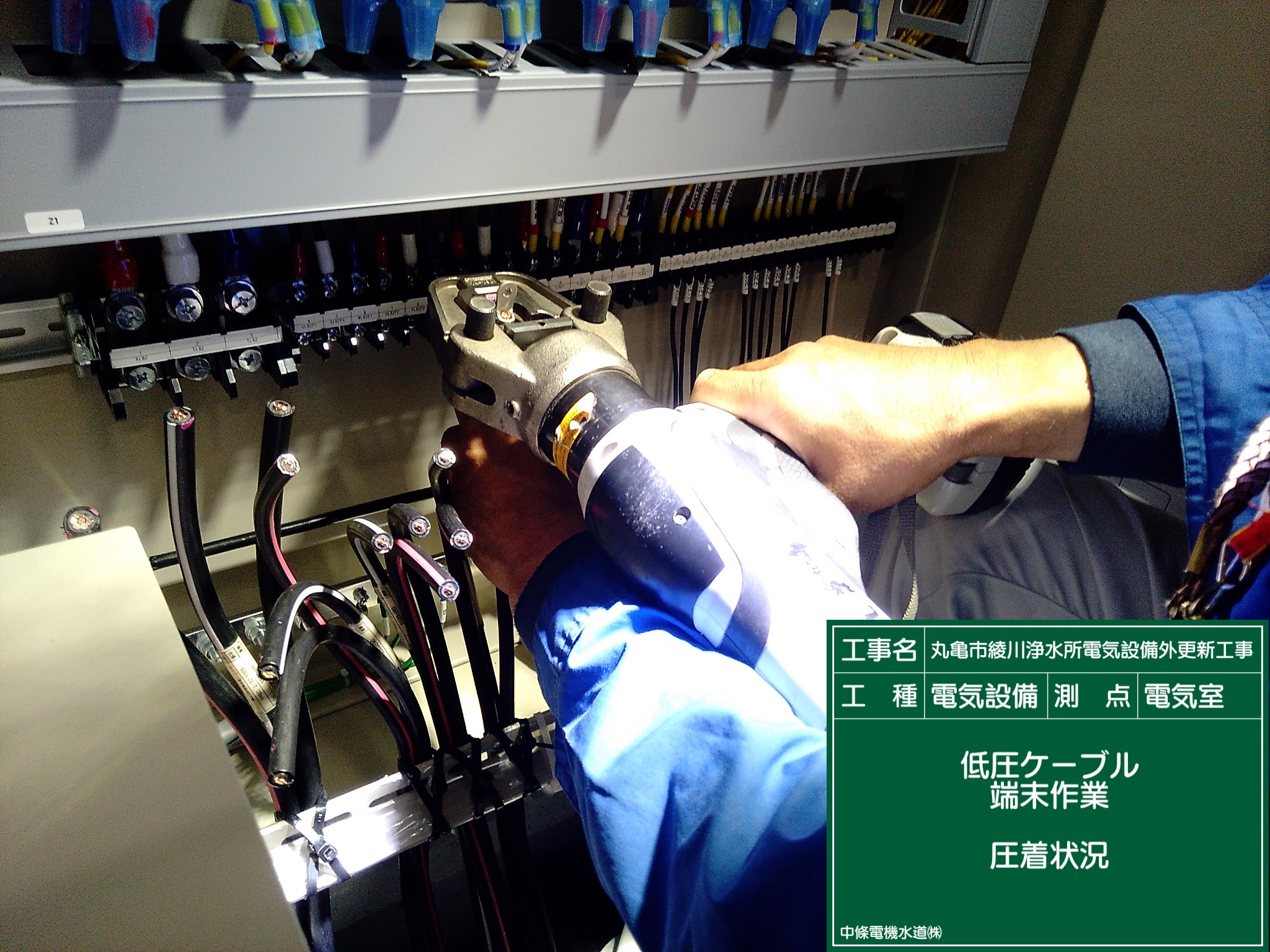 実績紹介